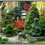 wbgarden-ornamental-garden-1.jpg