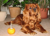 zari-09-001.jpg