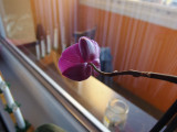 p1110009.jpg