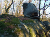 dsc07899.jpg