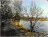 kolem-rybnika....jpg