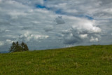 img_3292.jpg