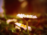 dscn2586.jpg
