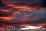 img_7357_uprava_web2.jpg