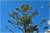 ´14.06.13.-tb-re-002.jpg