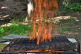 dsc_2036.jpg