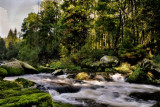 dsc_9407-z-h.jpg