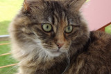 dscf5561.jpg