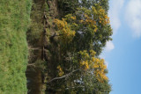 dsc00117.jpg