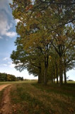 dol_0090-z-17.jpg
