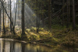 kamenice-20.10.-2014_28.jpg