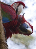 img_8540.jpg