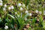 dol_0189.jpg