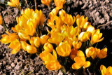 dol_0265.jpg