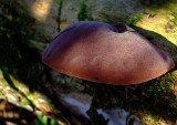 dscf1380.jpg