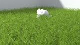 grass_test_corona_proxy_01.jpg