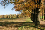 dol_0842-z.jpg