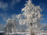 img_0746.jpg