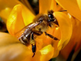 p3280057-z.jpg