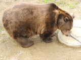 dscn2692.jpg