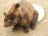 dscn2695.jpg