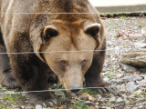 dscn2700.jpg