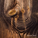 kd.77-plac-p.jpg