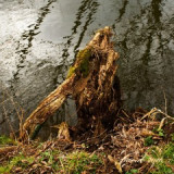kdn370-strasak.jpg