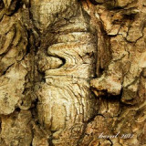 kd.55-totemovy-strom-p.jpg