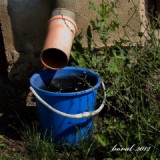 kan.132-water-harwesting-p.jpg