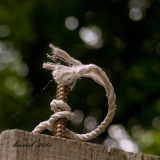 kan.345-d-p.jpg