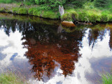 img_0157-z.jpg