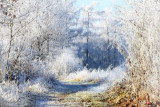 img_3371a.jpg