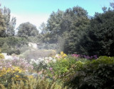 2016.08.18---petrinska_zahrada-5.jpg