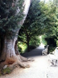 2016.08.18---petrinska_zahrada-7.jpg