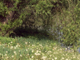 17.05.06-u_berounky-art-26.jpg