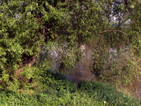 17.05.06-u_berounky-art-28.jpg