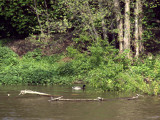 17.05.06-u_berounky-art-2.jpg