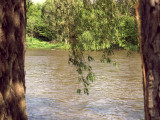 17.05.06-u_berounky-art-7.jpg