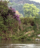 17.05.06-u_berounky-art-51.jpg