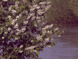 17.05.06-u_berounky-art-84.jpg