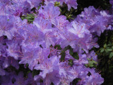 dscn0042.jpg