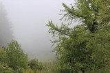 img_8337kk.jpg