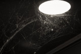 psx_20181011_180429.jpg