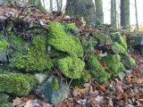 img_3094.jpg