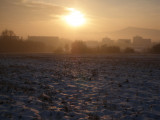 p1010074.jpg