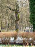 dscn8368.jpg
