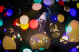 5d4_7235-edit.jpg
