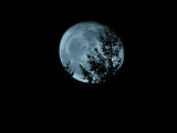 2012-12-31_0041.jpg