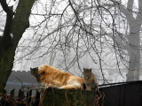 dscn2744-1.jpg